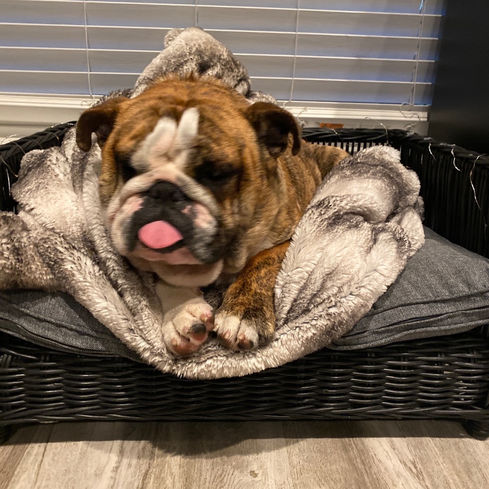 Meet your Posher, Melissa